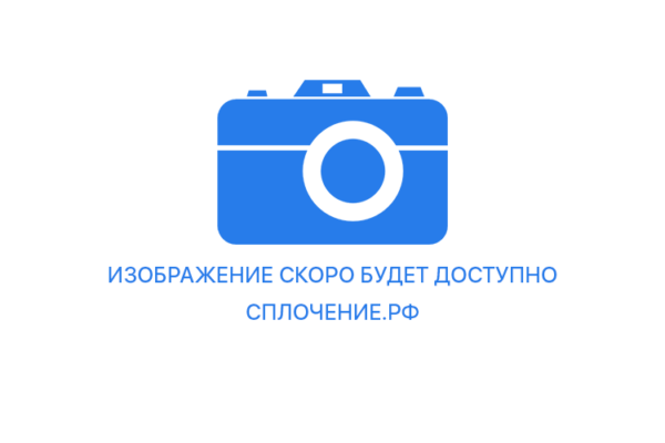 Горизонтальная паутина